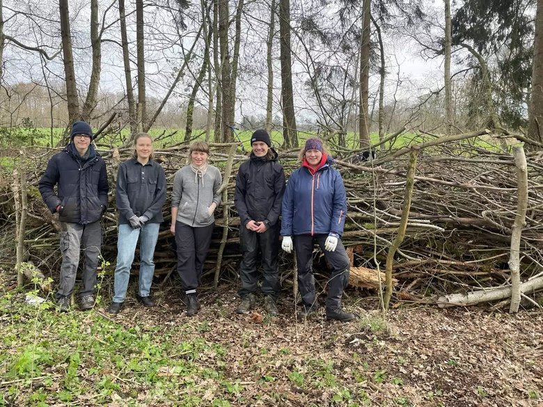 Totholz-Bild-fuer-Gertrud2