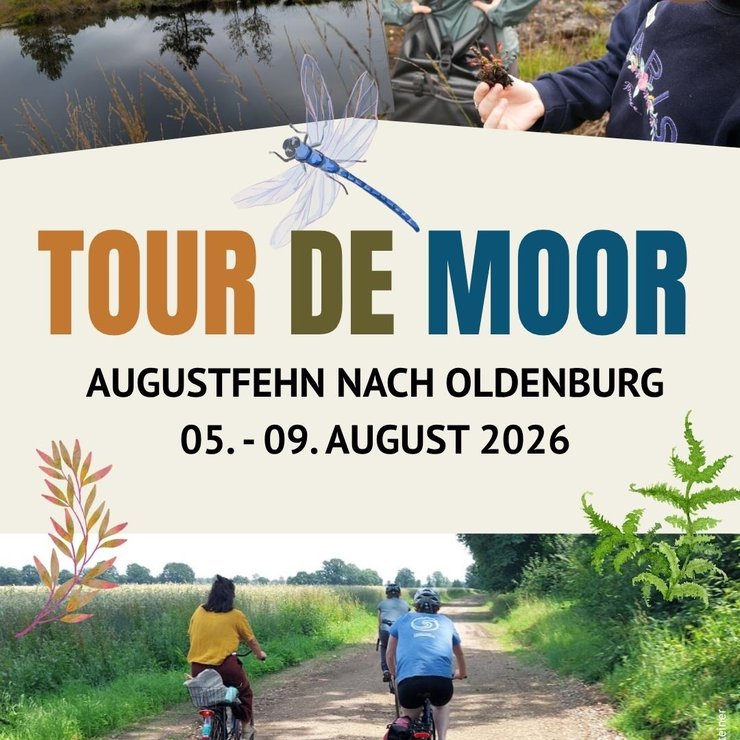 Moorlandschaft, Libelle, Peronen unterwegs auf dem Rad. Text: Tour de Moor, Augustfehn nach Oldenburg, 5.-9. August 2026. BUNDJugend Niedersachsen